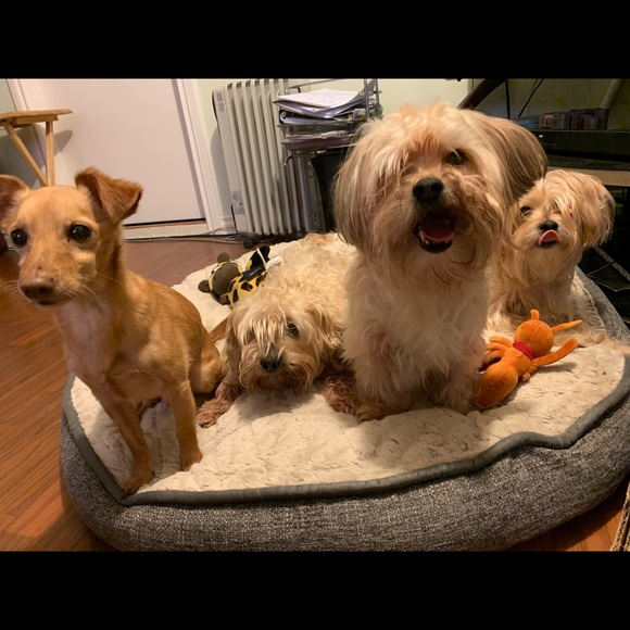 Meet your Posher, Adrienne - Picture 1 of 1